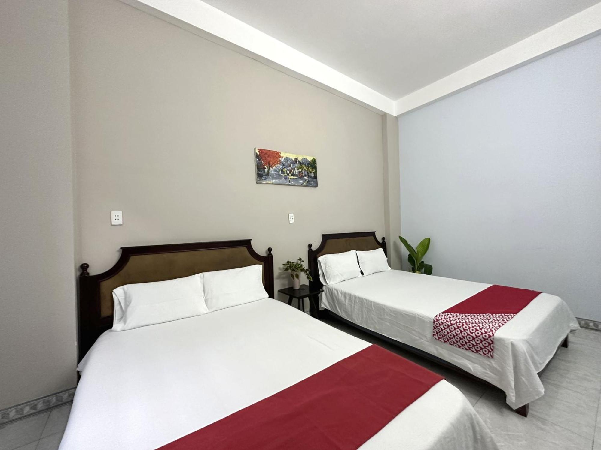 Oyo 1187 Suoi Da Motel Danang Exteriér fotografie