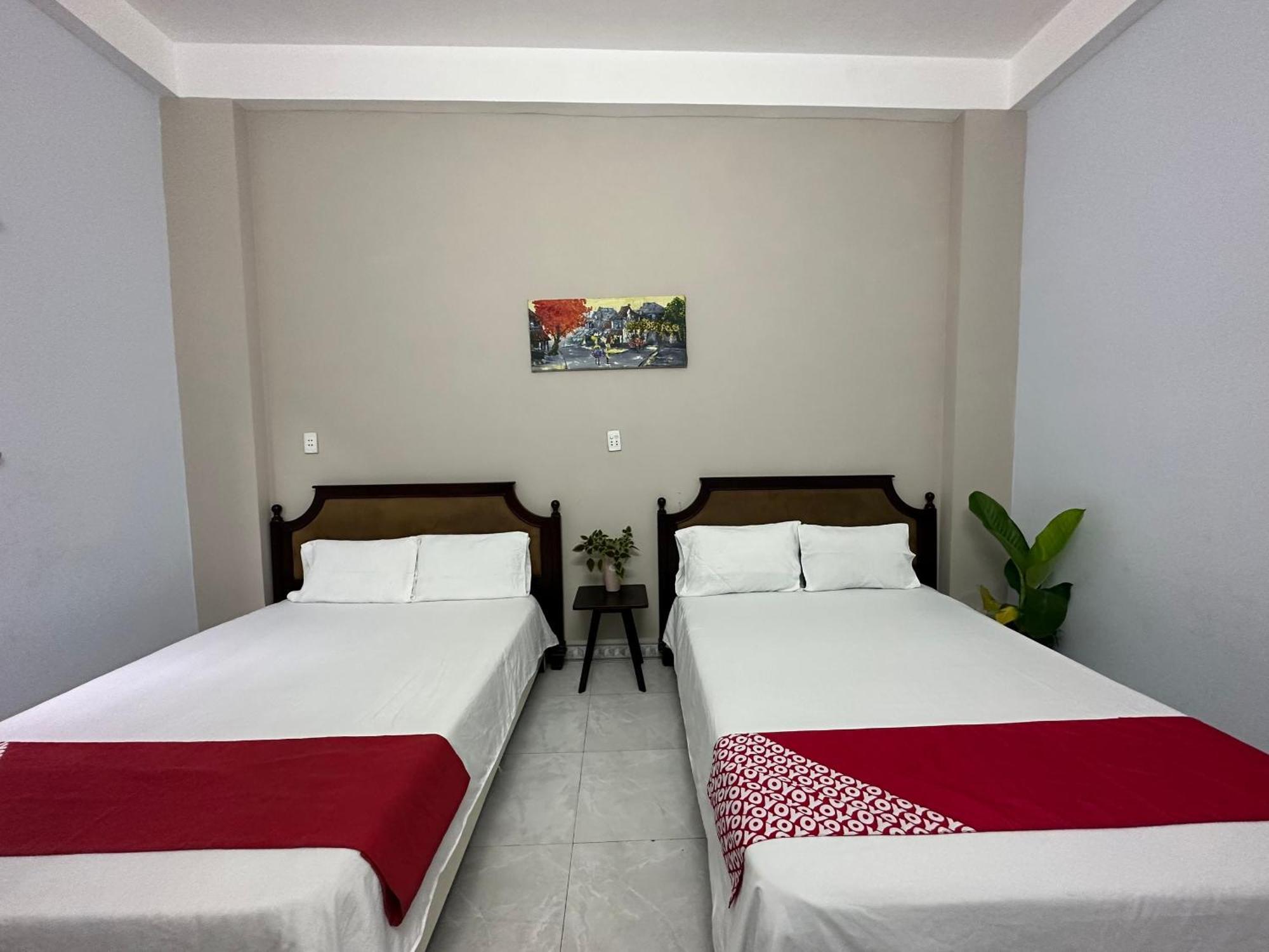Oyo 1187 Suoi Da Motel Danang Exteriér fotografie