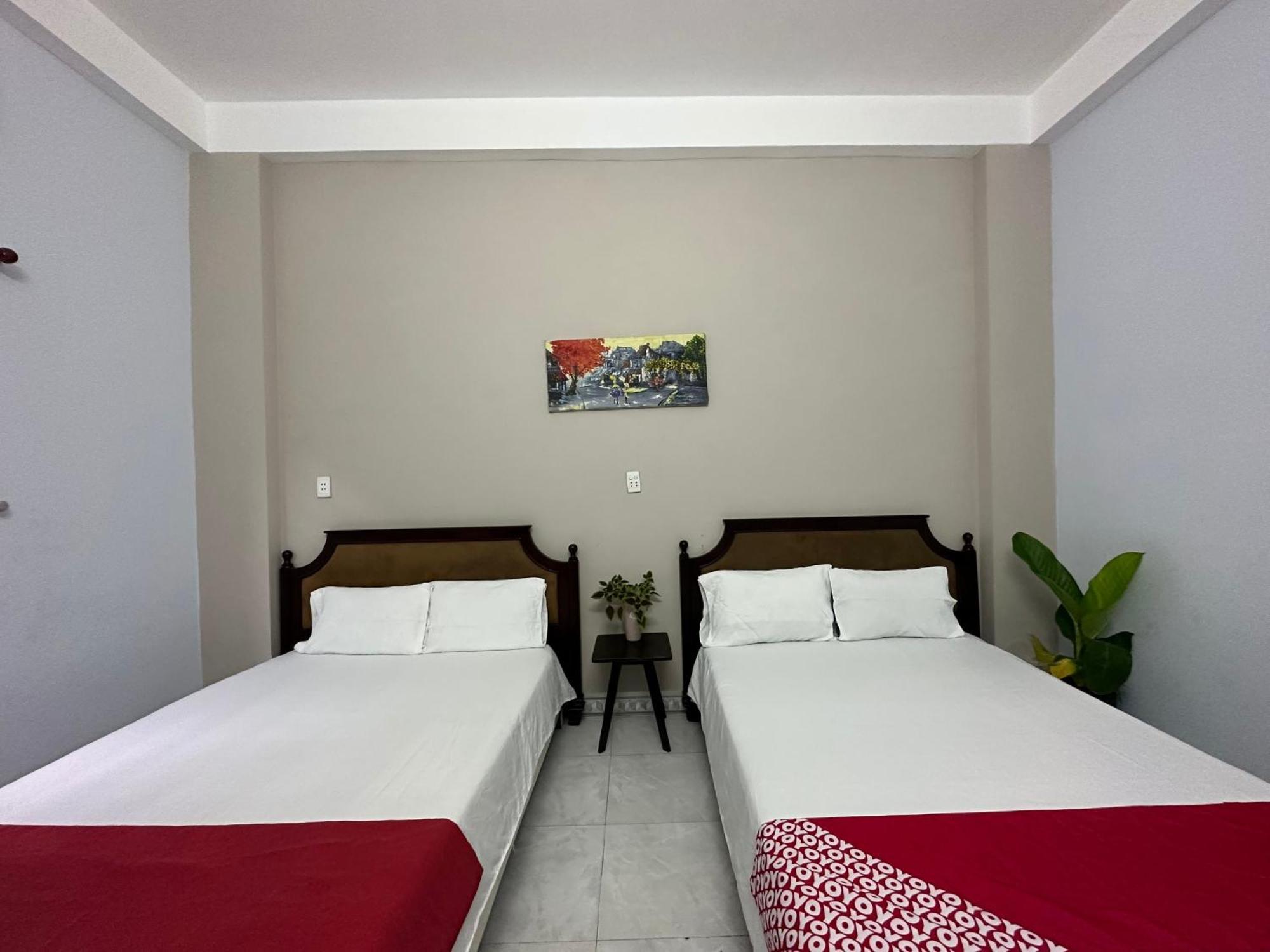 Oyo 1187 Suoi Da Motel Danang Exteriér fotografie